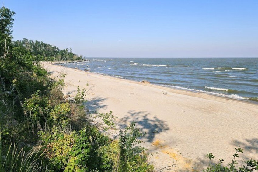 A beach with sand, waves, and greenery. 3