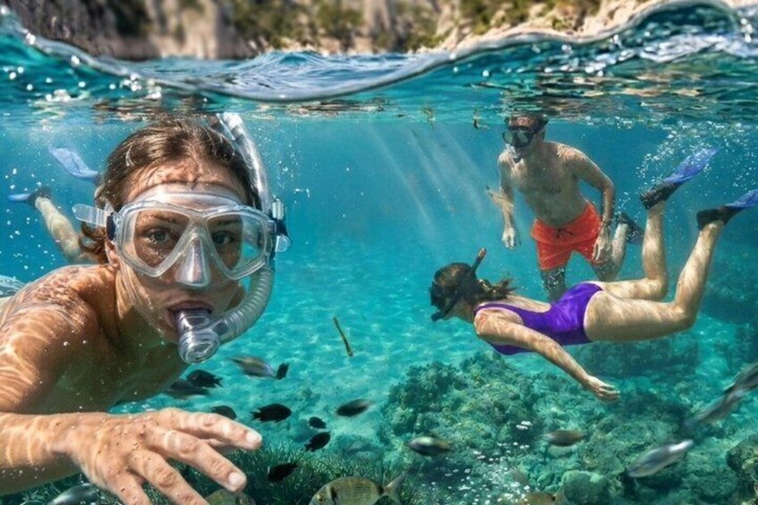 People snorkeling underwater with clear water and marine life. 5