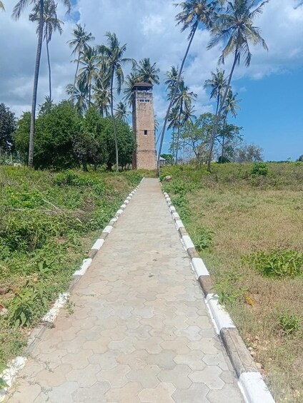 Un camino pavimentado que conduce a una torre, con palmeras al fondo. 5