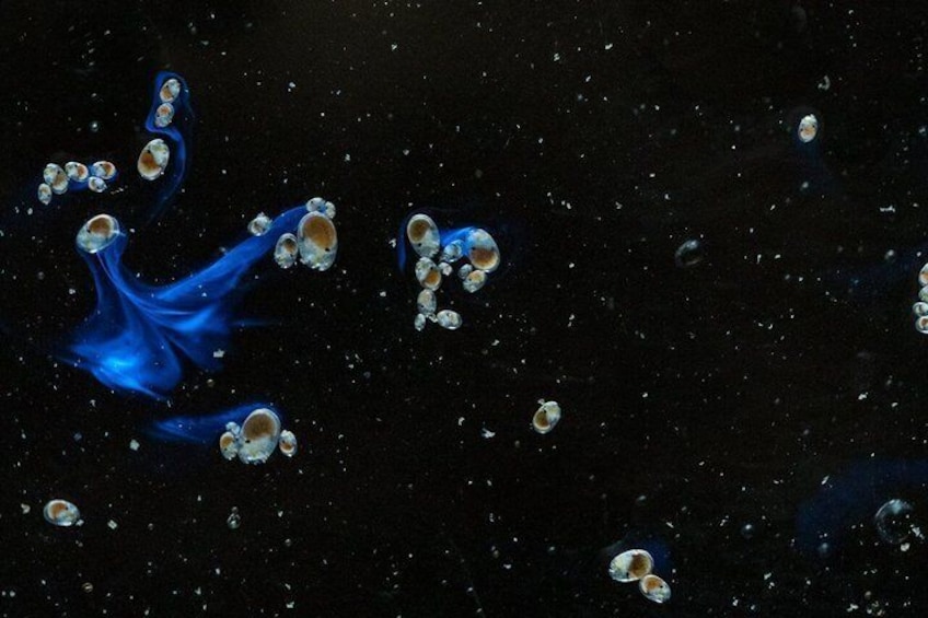 A dark space with floating blue andbs and spherical objects. 4