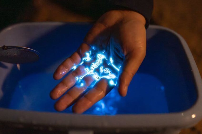 A hand with glowing blue patterns over a blue container. 2
