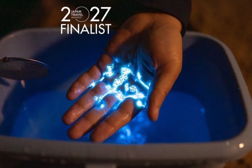 A hand with glowing blue patterns over a blue container. 1