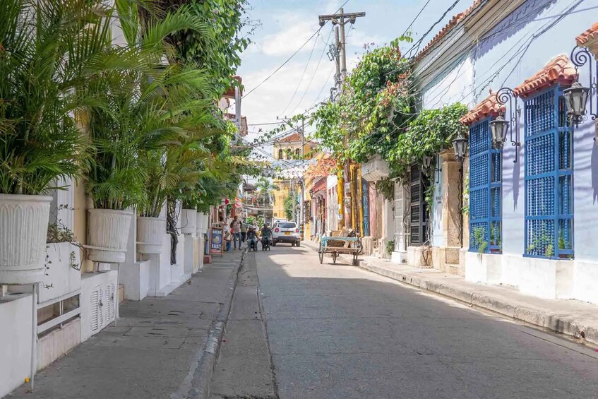 A narrow street lined with colorful buildings, palm trees, and a parked bicycle. 4