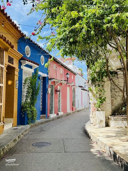 A narrow street lined with colorful buildings, a tree with green leaves, and a manhole cover on the pavement. 2