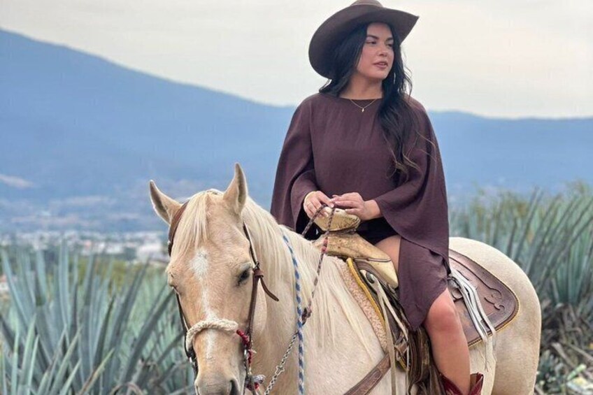 A person riding a horse with a mountainous landscape in the background. 4