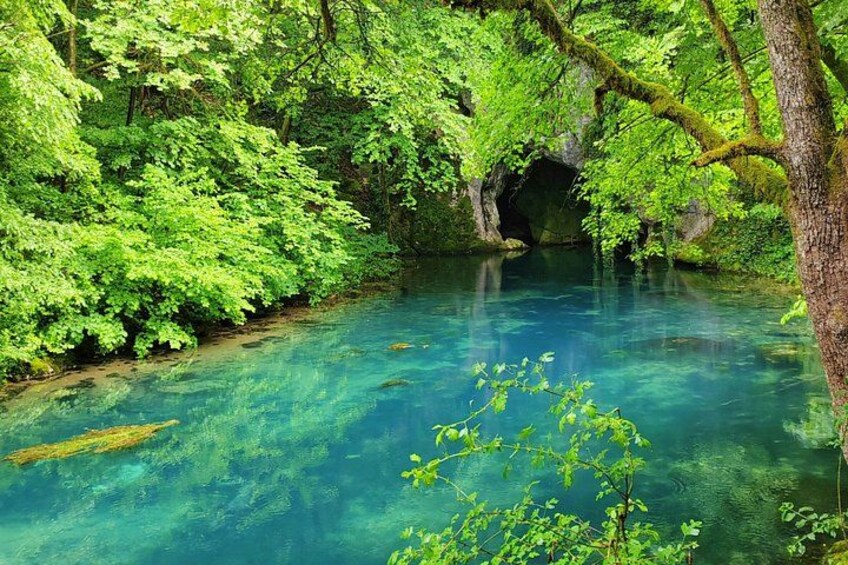 A clear blue river surrounded by lush green foliage and a cave entrance. 5
