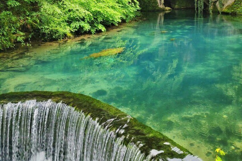 A clear water stream with a small waterfall, surrounded by lush greenery. 4