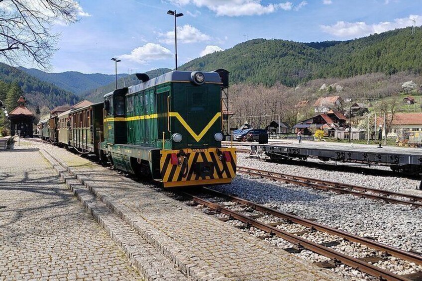 A green and yellow train at a station with a mountainous backdrop. 1