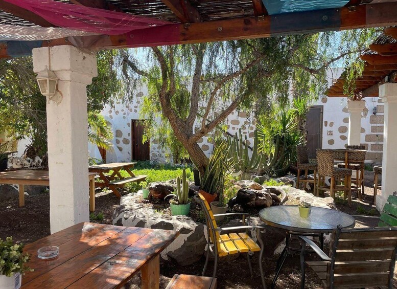 An outdoor patio with wooden tables and chairs, surrounded by cacti and a tree. 4