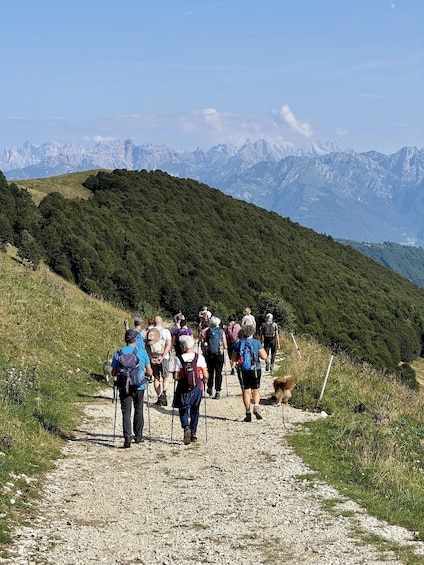 A group of hikers on a gravel path with a mountainous landscape in the background. 4