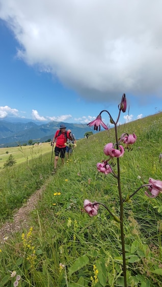 Hikers on a trail with a mountainous landscape in the background. 1