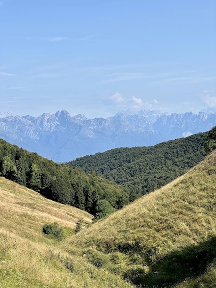 A mountainous landscape with dense forests and snow-capped peaks in the distance. 5