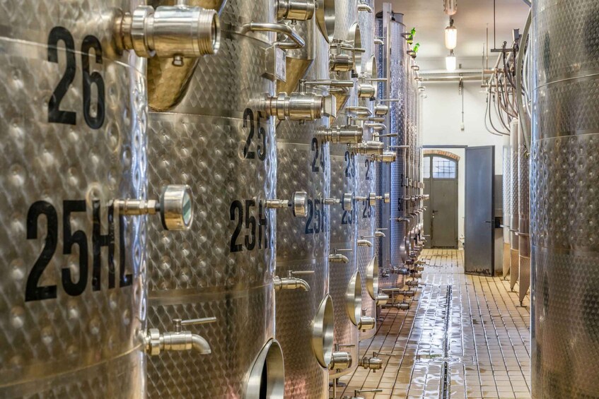 A row of stainless steel fermentation tanks with numbers on them, arranged in a facility with a tiled floor. 5