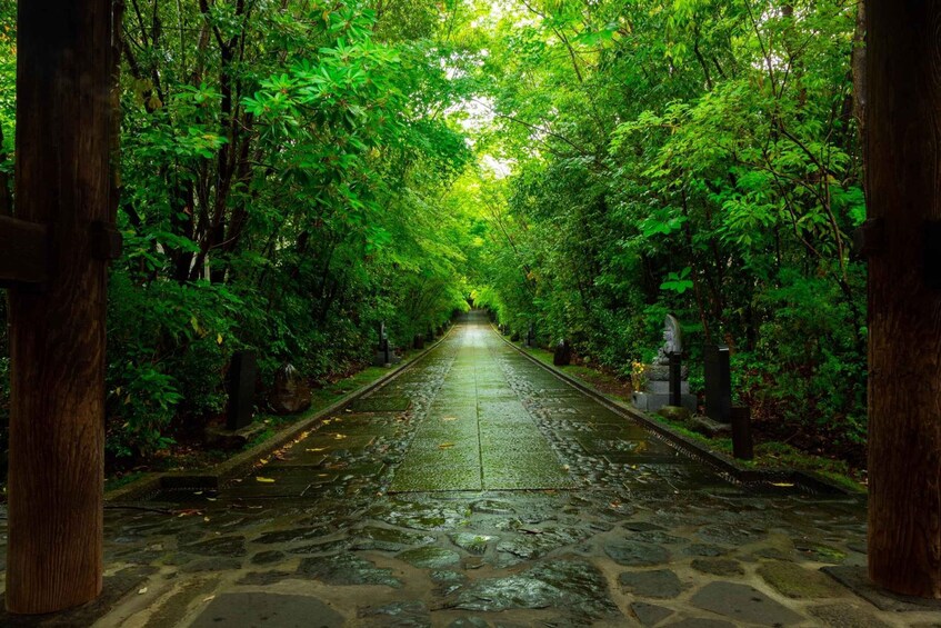 A stone pathway flanked by dense green foliage and wooden posts, leading through a lush forest. 3