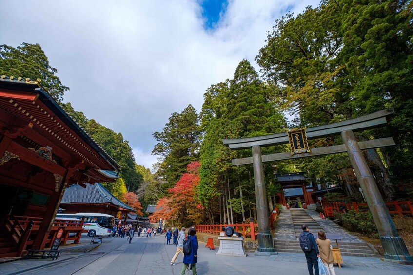 A traditional Japanese temple with red torii gates, a stone pathway, and autumn-colored trees. 5