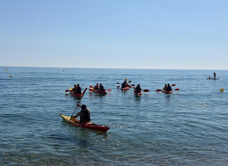 A group of people kayaking on a calm sea. 3