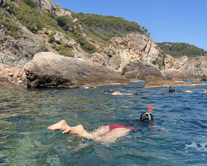 A person swimming in clear water with a dog, surrounded by rocky cliffs and greenery. 4