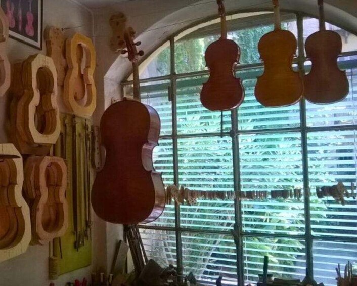 A room with multiple wooden string instruments hanging on the wall and a large window with blinds. 5