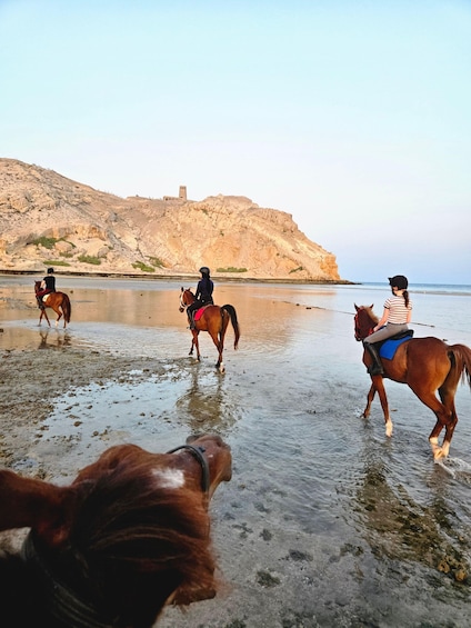 Three people riding horses on a beach with a rocky cliff in the background. 5