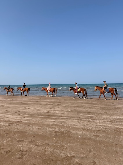A beach with people riding horses along the shoreline. 2
