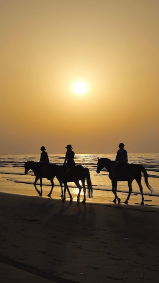 Silhouettes of three people riding horses on a beach at sunset. 1