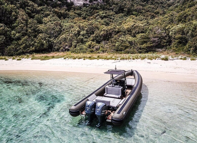 A motorboat on a clear beach with a forested background. 3