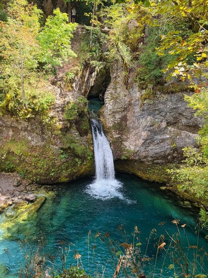 A waterfall in a forested area with clear water and surrounding greenery. 3