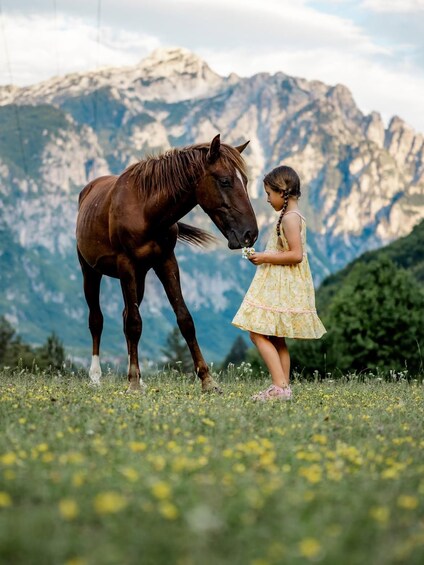 A young girl in a yellow dress with a ponytail, standing in a field of yellow flowers, interacting with a brown horse. 4