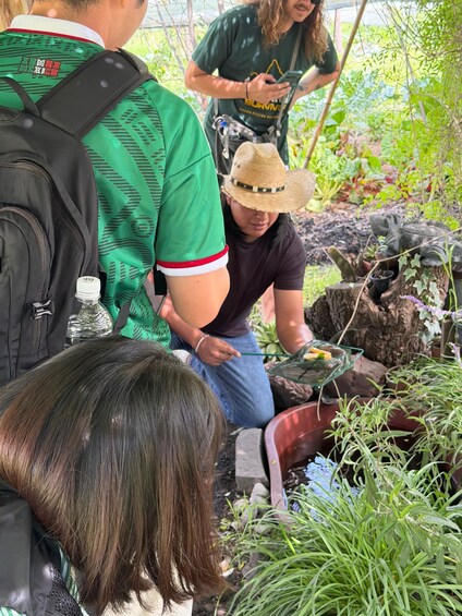 A group of people in a garden with various plants and a small pond. 1
