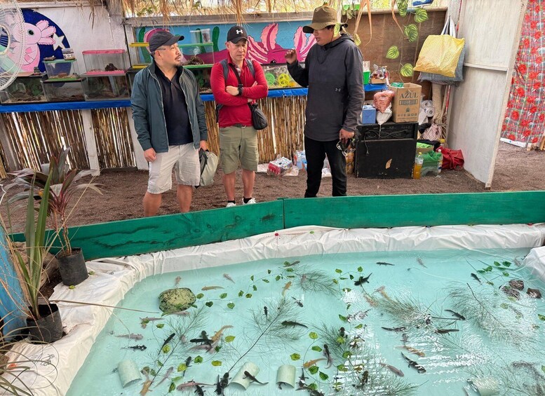 A group of people observing a fish pond with various aquatic plants and fish. 5
