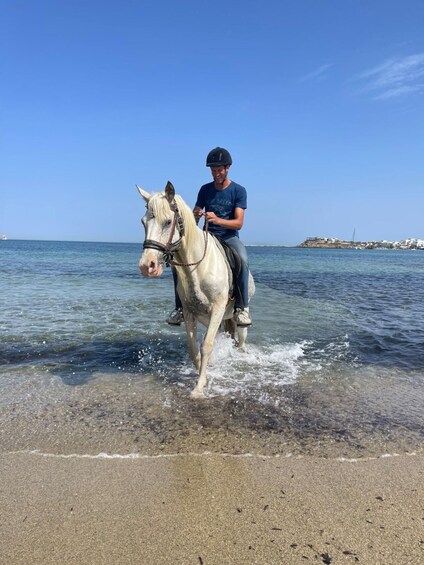 Une personne à cheval, montant un cheval blanc, traverse une étendue d’eau peu profonde près d’une plage, sous un ciel dégagé, avec une terre lointaine à l’horizon. 1