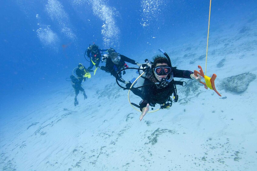 A diver descending underwater with a rope. 5