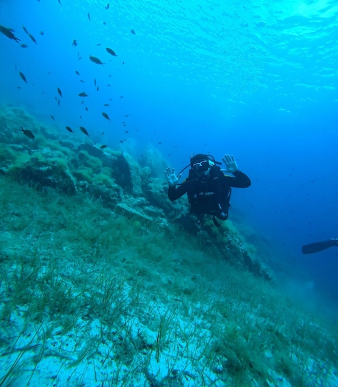 A diver underwater with a group of fish swimming around. 3