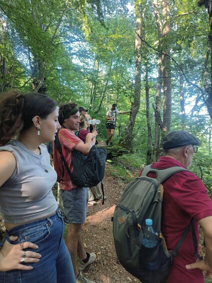 A group of people hiking in a forested area with trees and a dirt path. 2