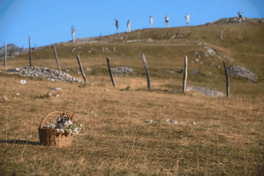 A grassy field with a basket of flowers and a fence with statues on a hill. 4