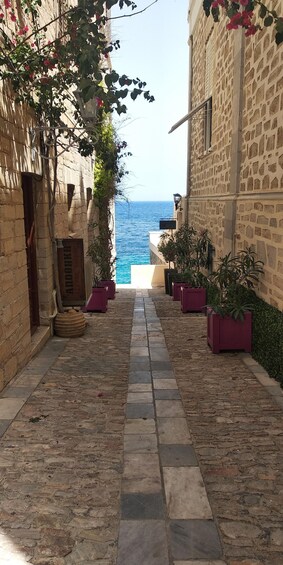 A narrow stone-paved alley with potted plants and a view of the sea. 3