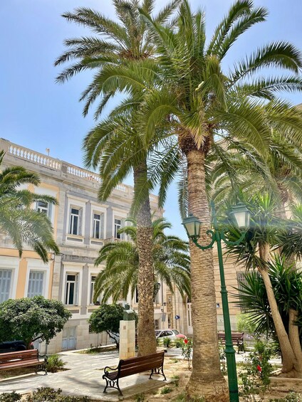 A sunny courtyard with palm trees, benches, and a building with classical architecture. 1
