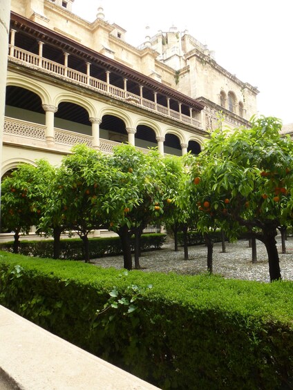 A courtyard with orange trees, a building with arches, and a cobblestone path. 4