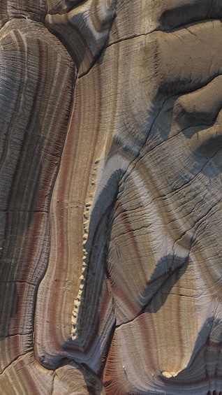 A close-up of a rock surface with layered sedimentary patterns. 2