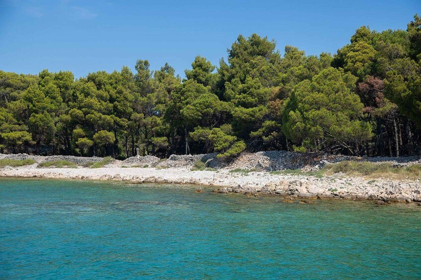 A coastal landscape with turquoise waters, dense green pine trees, and a rocky shoreline. 2