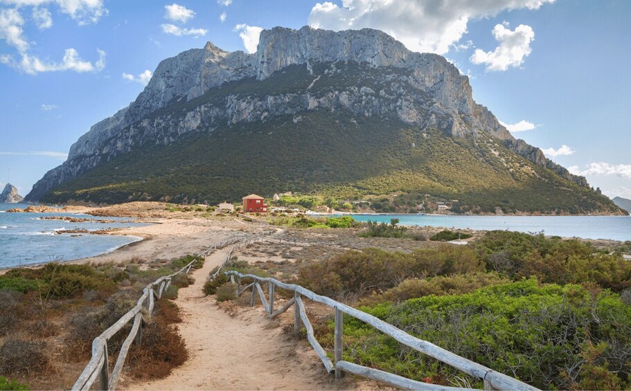 A coastal path leading to a beach with a mountain in the background. 4