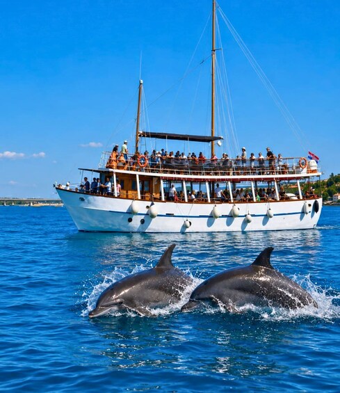 A boat with people on deck and two dolphins swimming in the water. 1