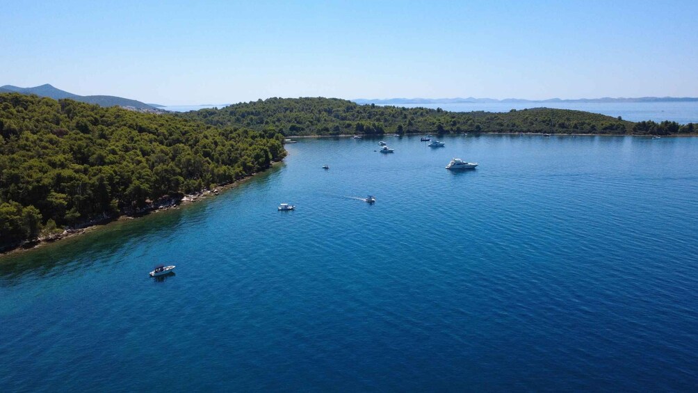 A coastal area with several boats on the water and dense green forests along the shore. 5