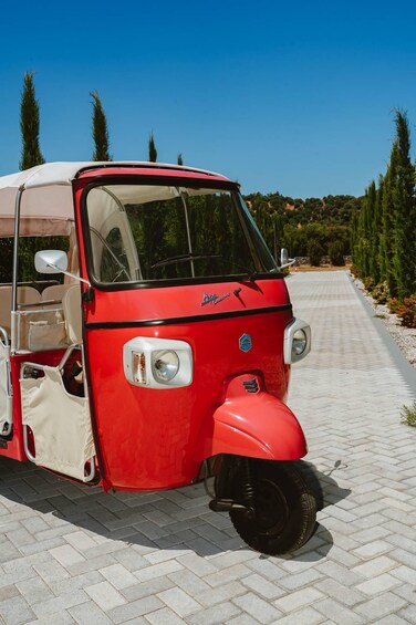 A red vintage car parked on a paved path with trees and a clear blue sky in the background. 3