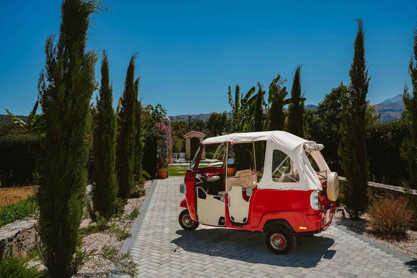 A red and white vintage car parked on a paved path surrounded by tall trees and a clear blue sky. 1