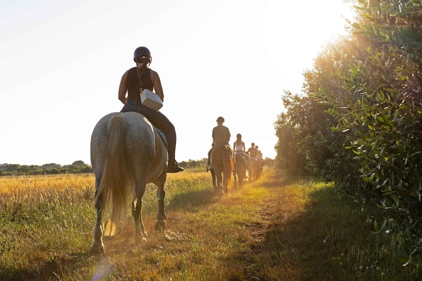 A group of people horseback riding along a sunlit path through a field. 1