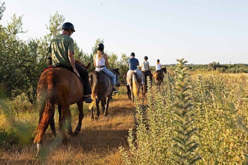 A group of people horseback riding on a trail surrounded by vegetation. 3