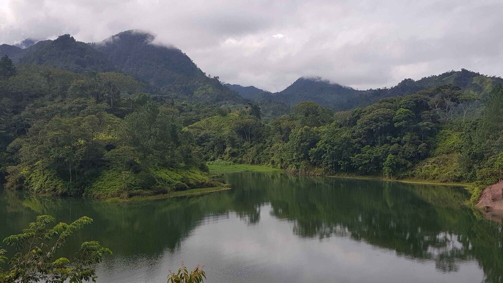 A calm lake surrounded by lush green hills and dense forest under a cloudy sky. 5