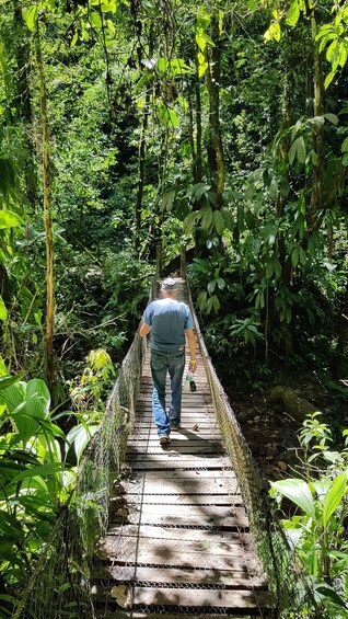 A person walking on a wooden bridge in a dense forest. 4