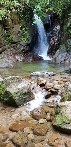 A waterfall cascading over rocks into a clear pool surrounded by lush greenery. 2